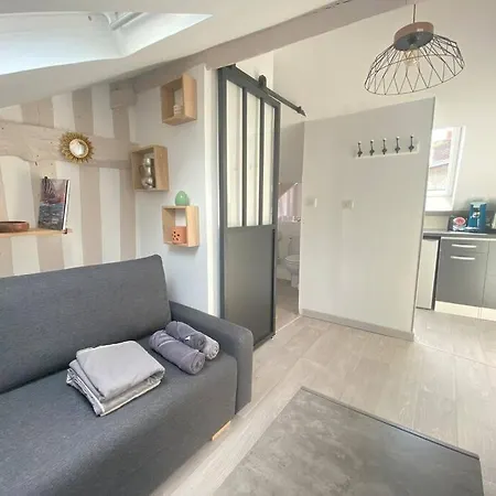 Le Studio L'anodin - Centre Rive Droite - 227 公寓 *